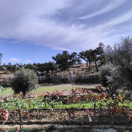 מלון Vale de Acor Monte Familia Ferreira מראה חיצוני תמונה